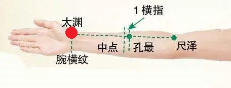 23 手太陰肺經-太淵