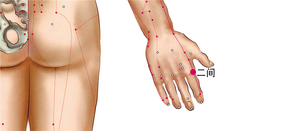 34 手陽明大腸經-二間