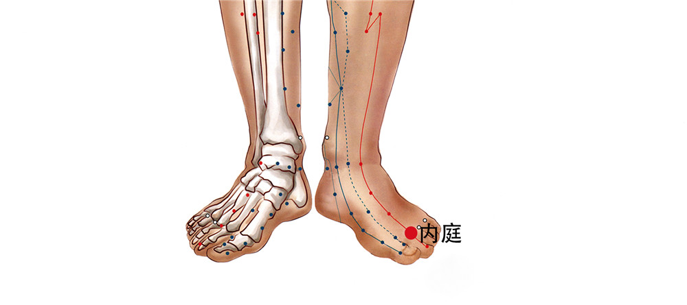 62 足里陽明胃經-內庭