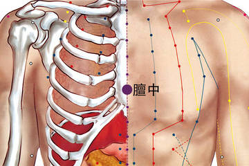 257 任脈 - 膻中