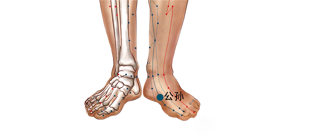 73 足太陰脾經-公孫
