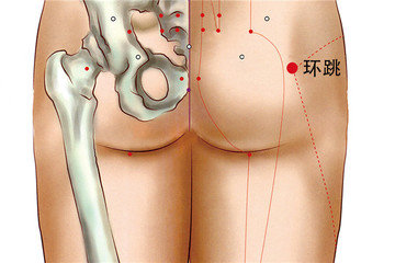 191 足少陽膽經 - 環跳
