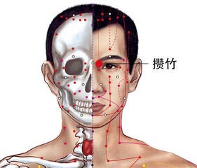 107 足太陽膀胱經-攢竹