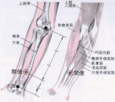 161 手厥陰心包經 - 間使