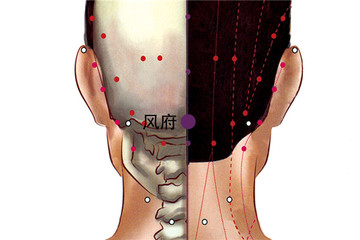 286 督脈 - 風府