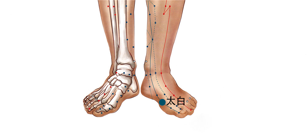71 足太陰脾經-太白