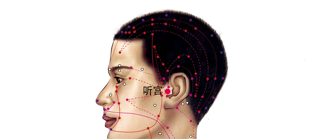 101 手太陽小腸經-聽宮