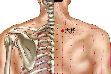 110 足太陽膀胱經-大杼