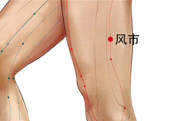 194 足少陽膽經 - 風市