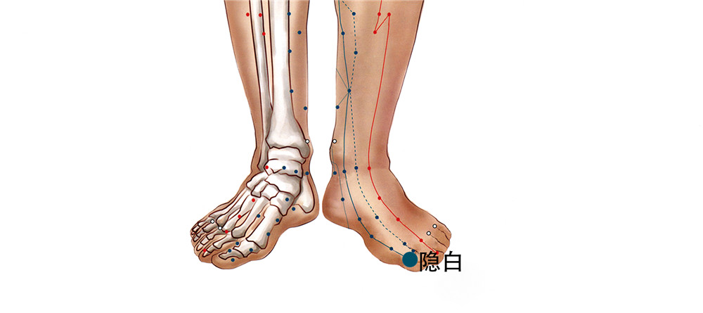 68 足太陰脾經-隱白