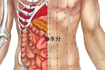 250 任脈 - 水分