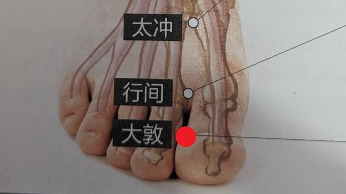 214 足厥陰肝經 - 大敦