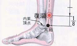 153 足少陰腎經 – 復溜