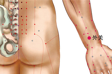 179 手少陽三焦經 - 外關