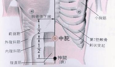 254 任脈 - 中脘