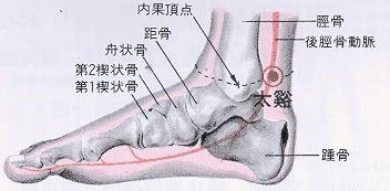 147 足少陰腎經 – 太溪