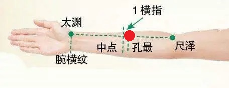 18 手太陰肺經-孔最