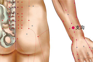 182 手少陽三焦經 - 支溝