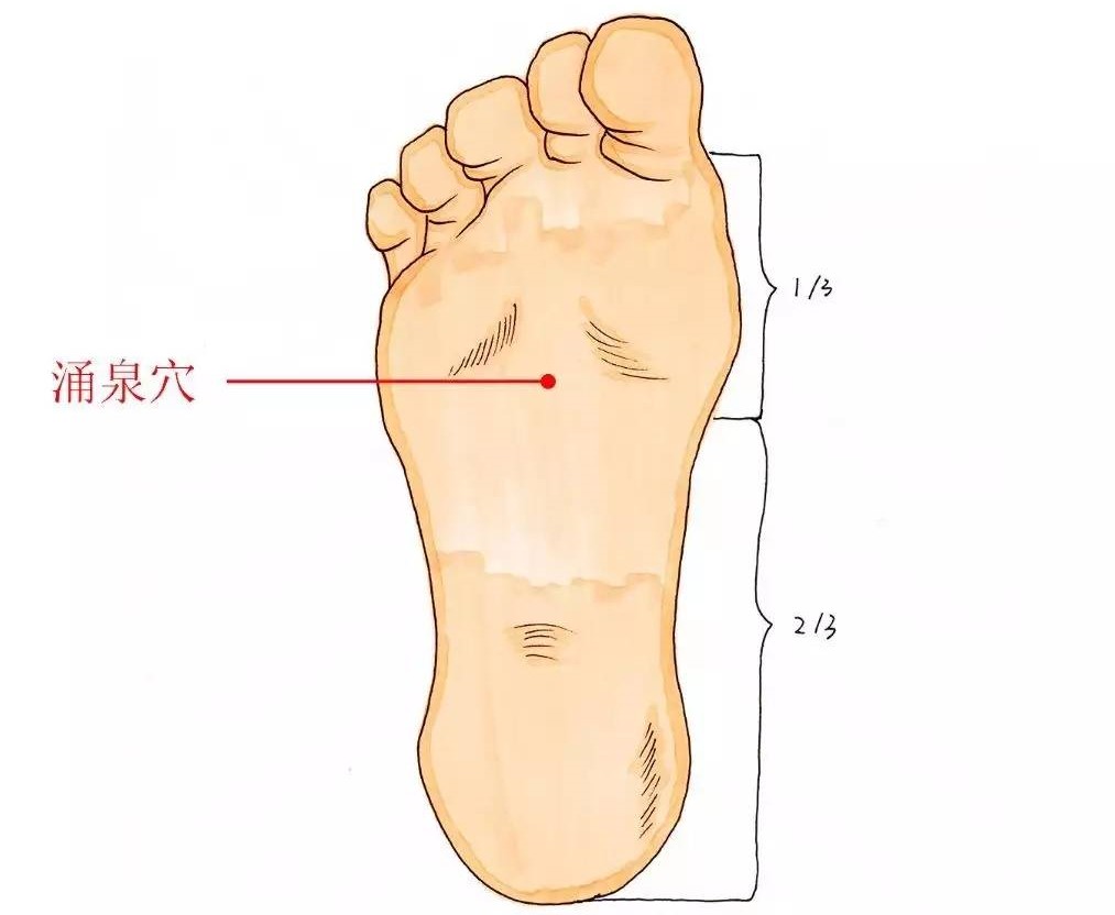 142 足少陰腎經 – 湧泉